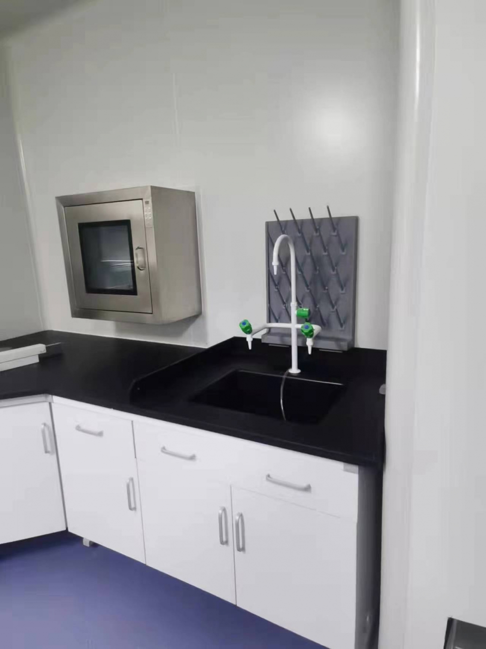 翌圣生物分子诊断酶原料及疫苗用酶研发质检平台项目