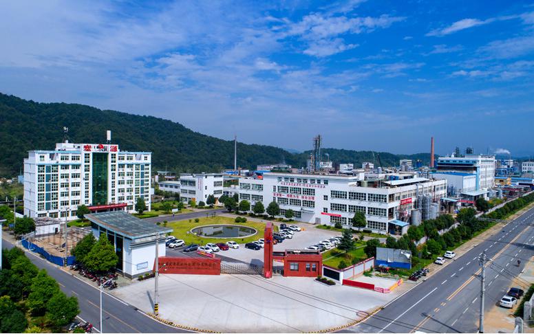 湖北省宏源药业科技股份有限公司